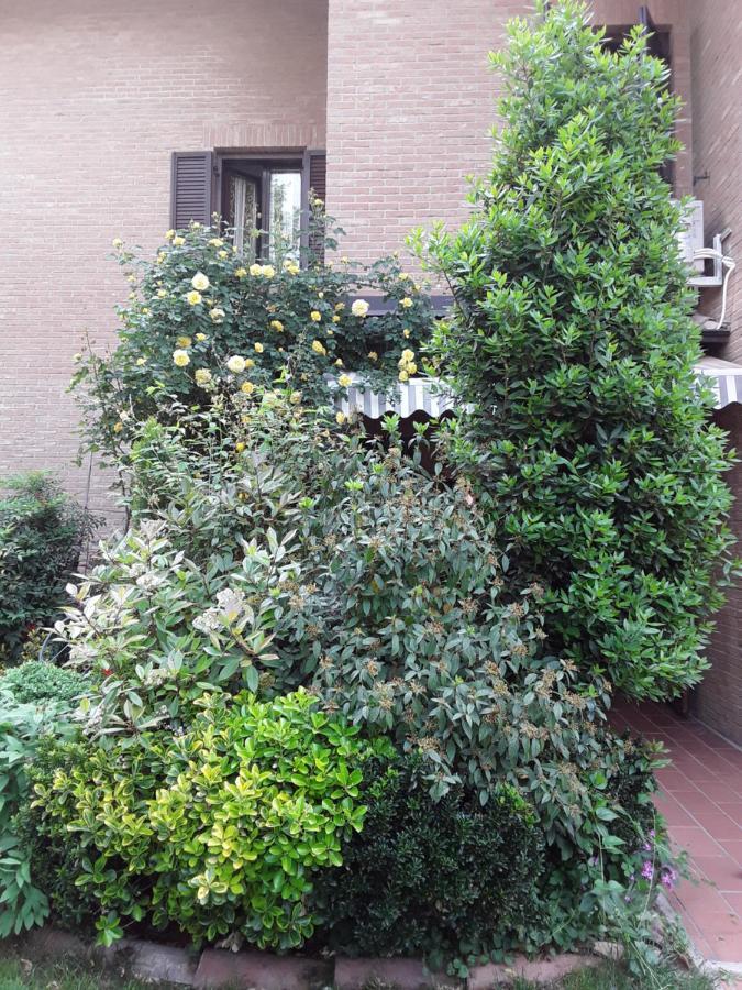 مارانيلّو B&B La Rosa Gialla المظهر الخارجي الصورة