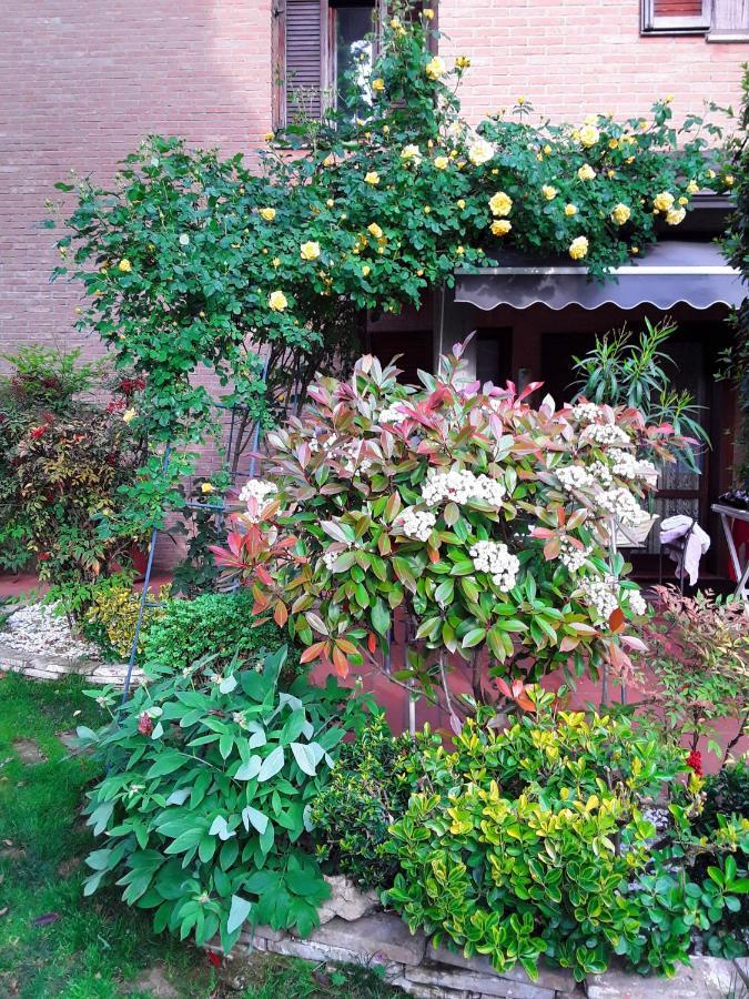 مارانيلّو B&B La Rosa Gialla المظهر الخارجي الصورة