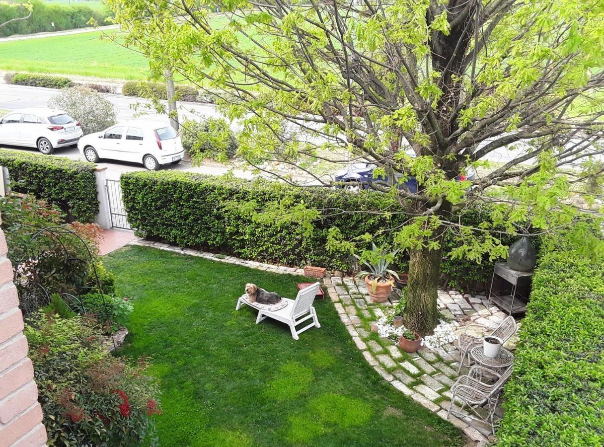 مارانيلّو B&B La Rosa Gialla المظهر الخارجي الصورة